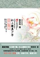 火爆丫鬟：杠上腹黑少爺