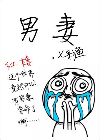 [紅樓同人]男妻