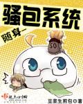 随身騷包系統