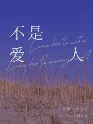 不是愛人