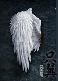 只翼ABO