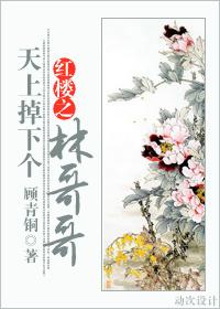 紅樓之天上掉下個林哥哥