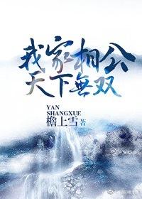 我家相公天下無雙