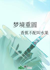 夢境重圓