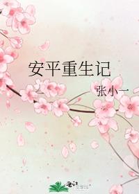 安平重生記