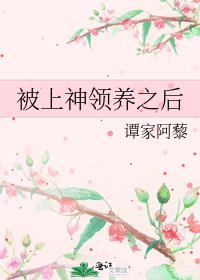 被上神領養之後