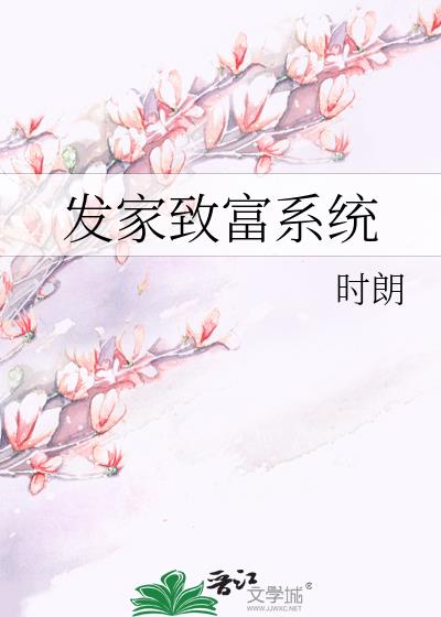 發家致富系統