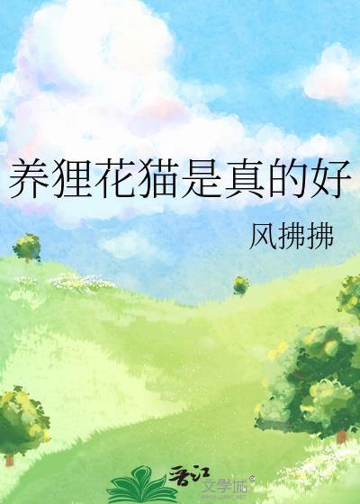 養貍花貓是真的好