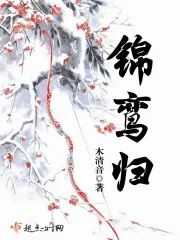 錦鸾歸