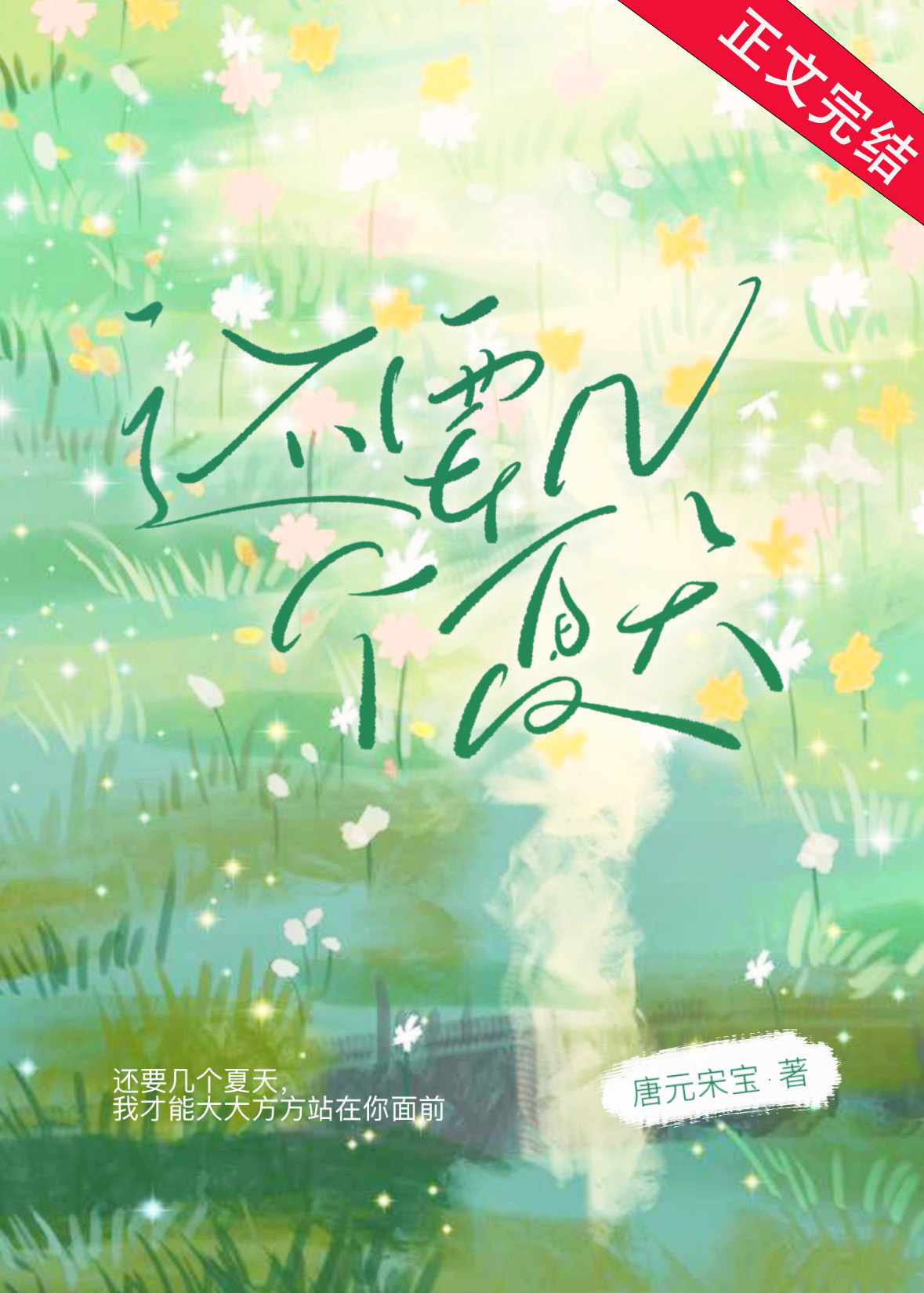 還要幾個夏天