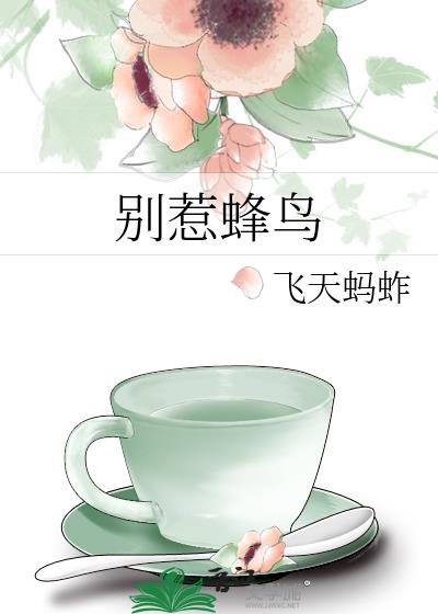 別惹蜂鳥