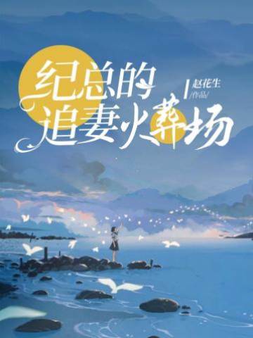 紀總的追妻火葬場