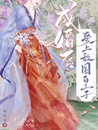 成婚後愛上敵國皇子