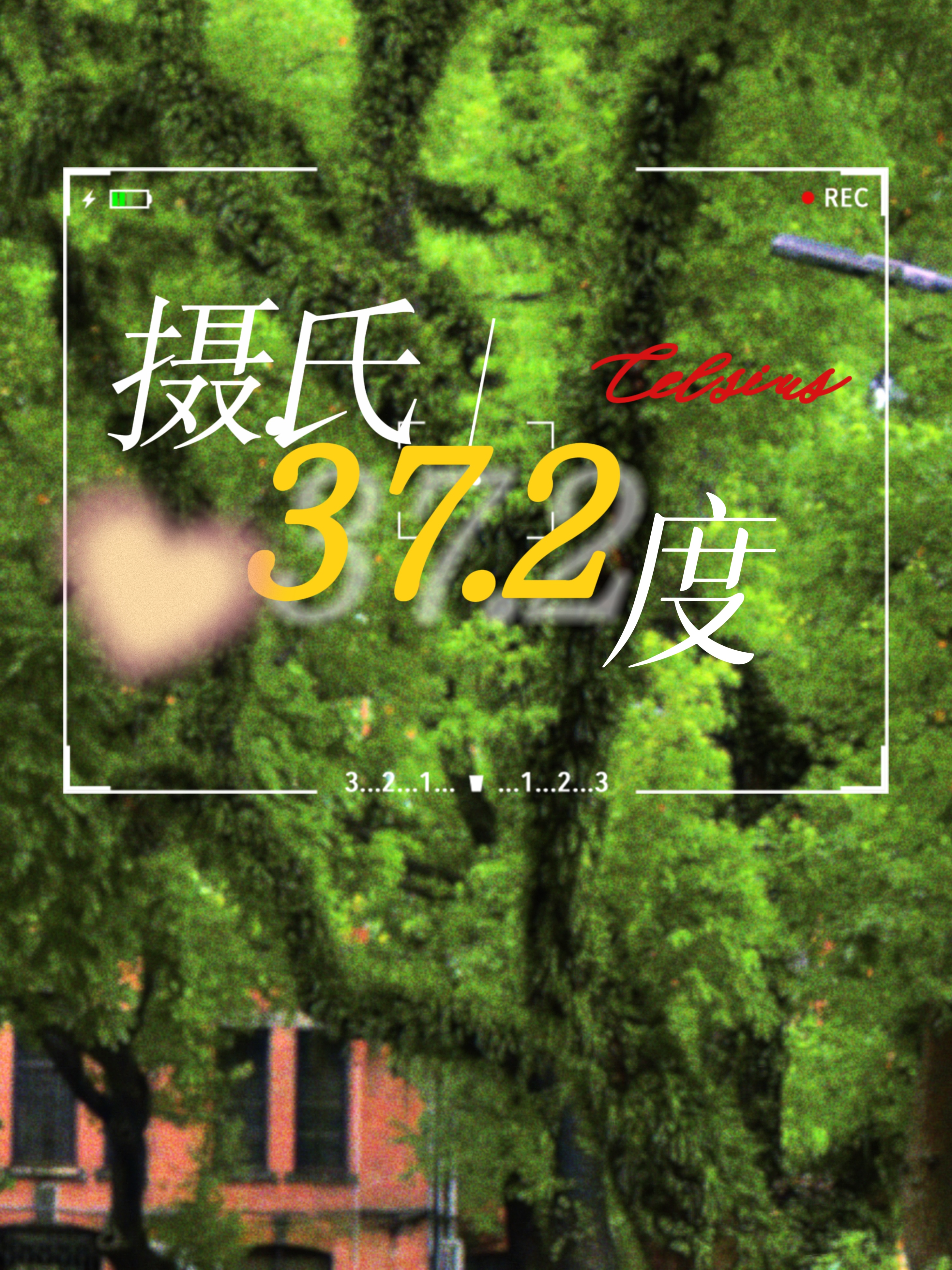 [排球少年]攝氏37.2度（黑尾相關）