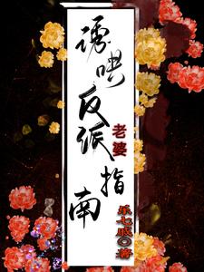 誘哄反派老婆指南