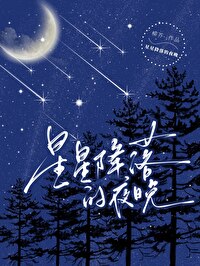 星星降落的夜晚