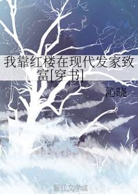 我靠紅樓在現代發家致富[穿書]
