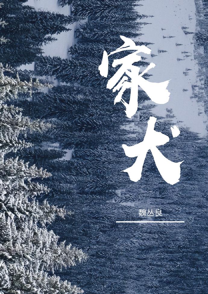 家犬