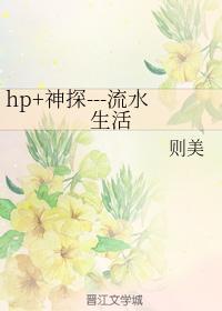 hp+神探---流水生活