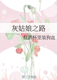 灰姑娘之路