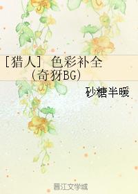 [獵人]色彩補全 (奇犽BG)