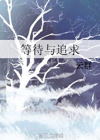 等待與追求