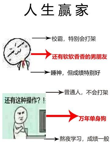 單身狗的春天