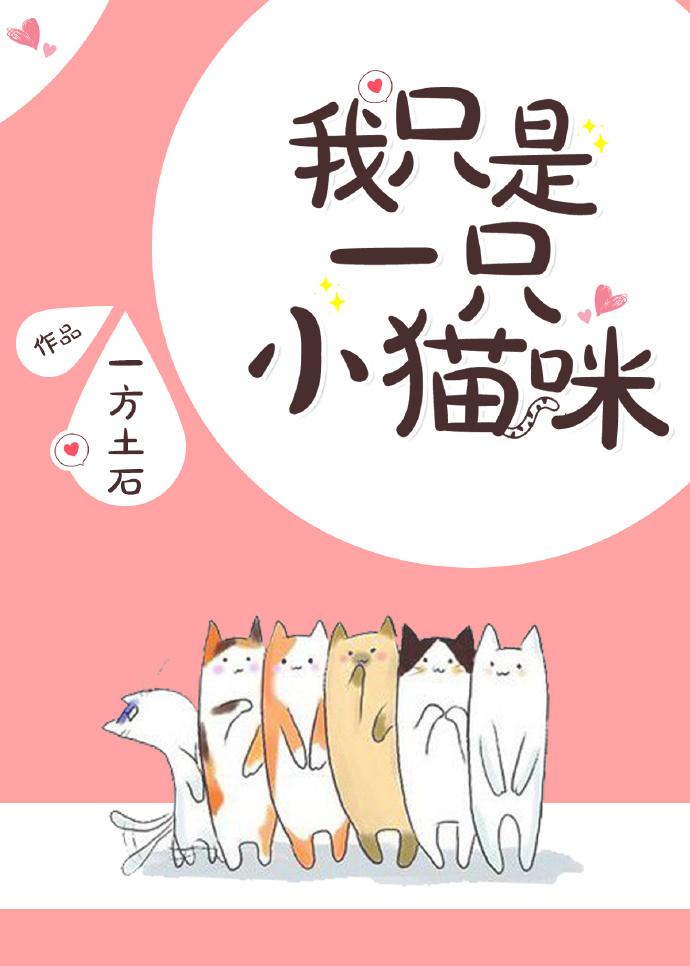我只是一只小貓咪