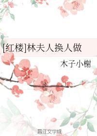 [紅樓]林夫人換人做