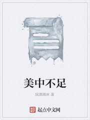 美中不足