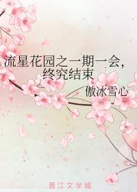 流星花園之一期一會，終究結束