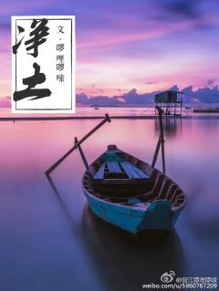 淨土