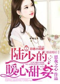 婚前婚後，陸少的暖心甜妻