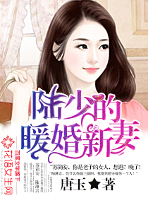 蘇簡安陸薄言