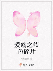 愛殇之藍色碎片