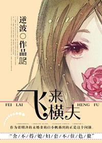 飛來橫夫