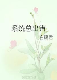我的系統丢了