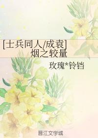 [士兵同人成袁] 煙之較量
