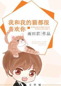 我和我的貓都很喜歡你