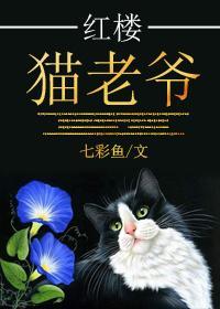 紅樓貓老爺
