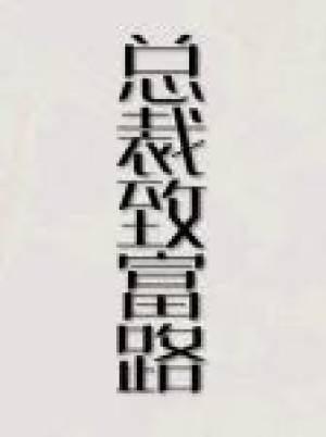 總裁致富路