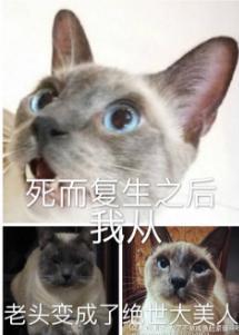 死而複生之後我從老頭變成了絕世大美人