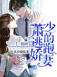 一胎兩寶：蕭少的逃跑嬌妻