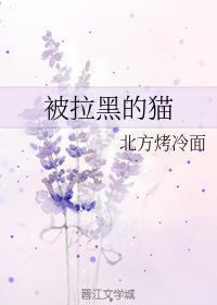 被拉黑的貓