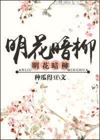 明花暗柳