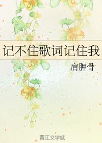 記不住歌詞記住我