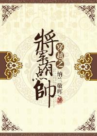 穿越之将軍有點帥