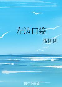 左邊口袋