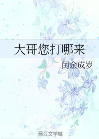 大哥您打哪來