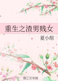 重生之渣男賤女